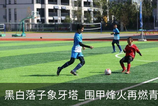 黑白落子象牙塔 围甲烽火再燃青岛恒星校园